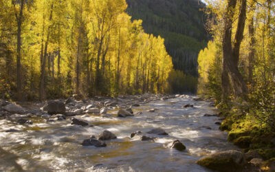 Why Call Colorado Spring Home…