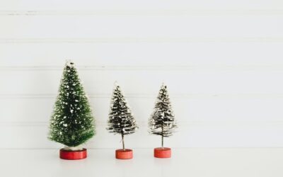 Spruce, Scotch Pine, Noble Fir – Oh My! Which Type Of Christmas Tree Is Decking Your Halls This Season?